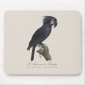 L' Ara Noir a Trompe / Palm Cockatoo Mousepad (Vorne)