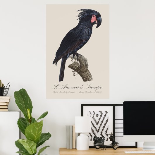 L' Ara Noir a Trompe / Palm Cockatoo Poster (Heimbüro)