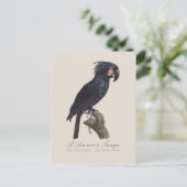 L' Ara Noir a Trompe / Palm Cockatoo Postkarte (Stehend Vorderseite)