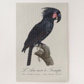 L' Ara Noir a Trompe / Palm Cockatoo Puzzle (Vertikal)