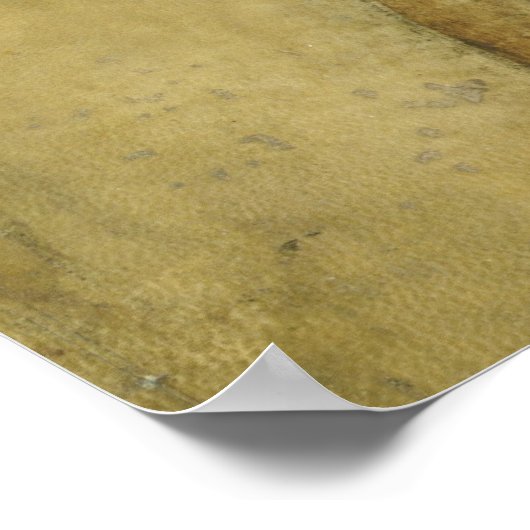 La Bella Principessa Canvas Print Poster (Ecke)