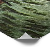 La Berceuse (Augustine Roulin) 1889 Poster (Ecke)