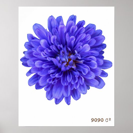 La Bluette Poster (Vorne)