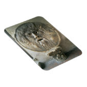 La Bocca di Verita (Foto) Magnet (Rechte Seite)