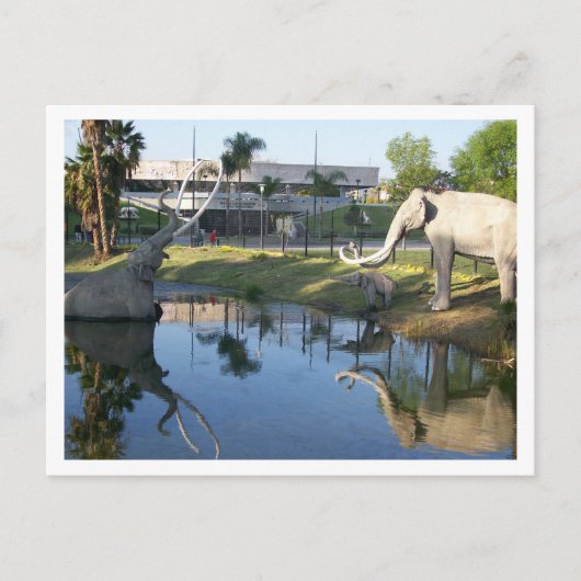 LA BREA TAR PITS #1 Postkarte (Vorderseite)