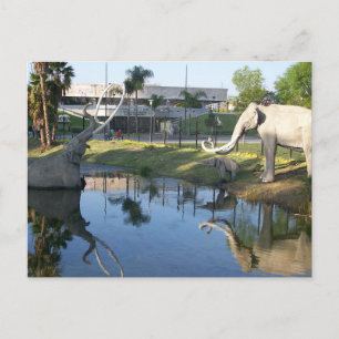  LA BREA TAR PITS #2 Postkarte