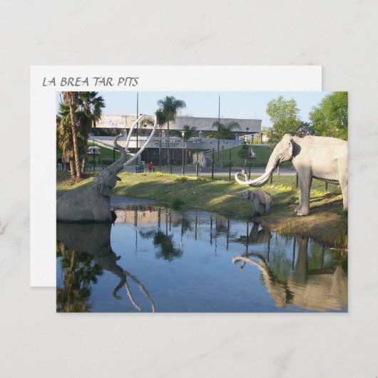 LA BREA TAR PITS #2 Postkarte (Vorne/Hinten)