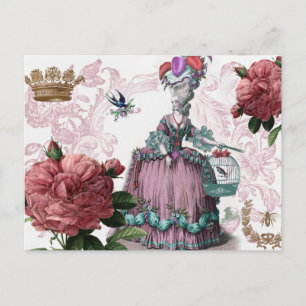 la cage aux oiseaux (The Birdcage) Postkarte