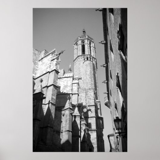 La Catedral Gargoyles Foto Poster (Vorne)