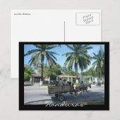 La ceiba Transport Postkarte (Vorne/Hinten)