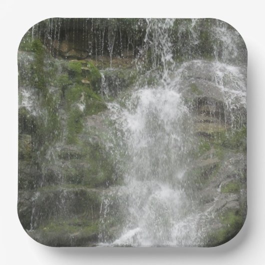 La Chute Wasserfall im Forillon Nationalpark Pappteller (Vorderseite)