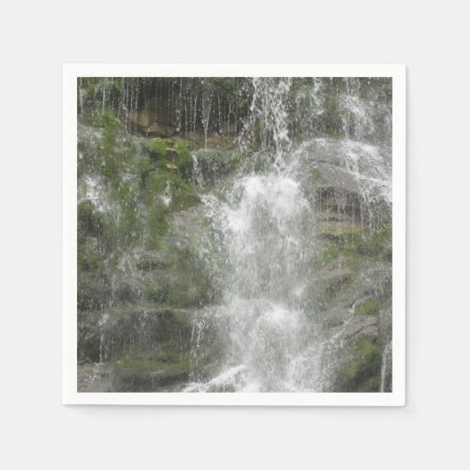 La Chute Wasserfall im Forillon Nationalpark Serviette (Vorderseite)