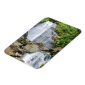 La coca fällt in den Yunque National Wald Magnet (Linke Seite)