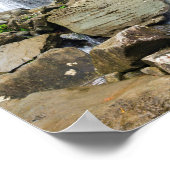 La coca fällt in den Yunque National Wald Poster (Ecke)