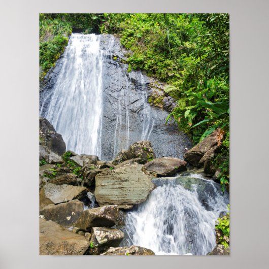 La coca fällt in den Yunque National Wald Poster (Vorne)