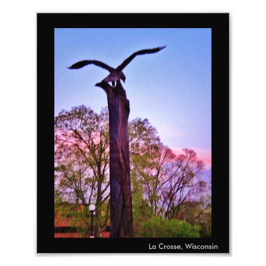 La Crosse Eagle Fotodruck (Vorne)