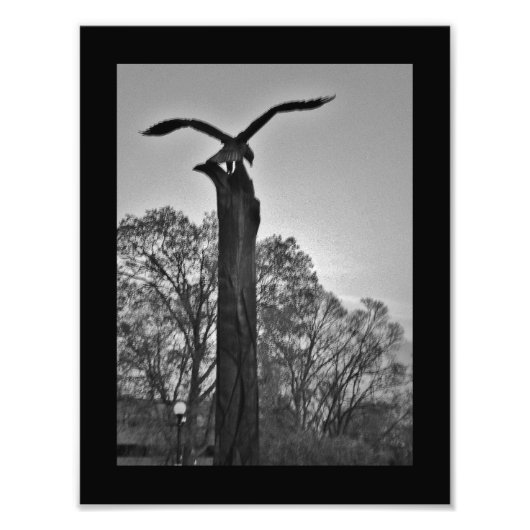La Crosse Eagle Fotodruck (Vorne)