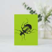 La Cucaracha Postkarte (Stehend Vorderseite)