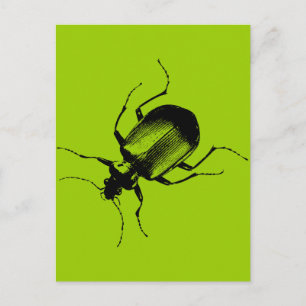 La Cucaracha Postkarte