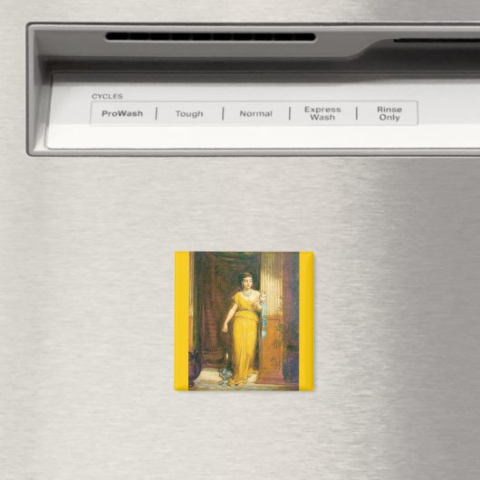 La Fileuse Magnet (In Situ (Geschirrspüler))