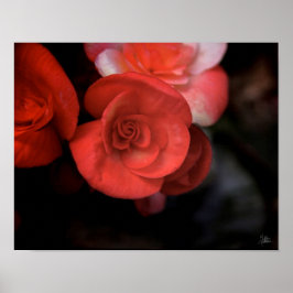 La Fleur Rouge [Kunstdruckerei] Poster