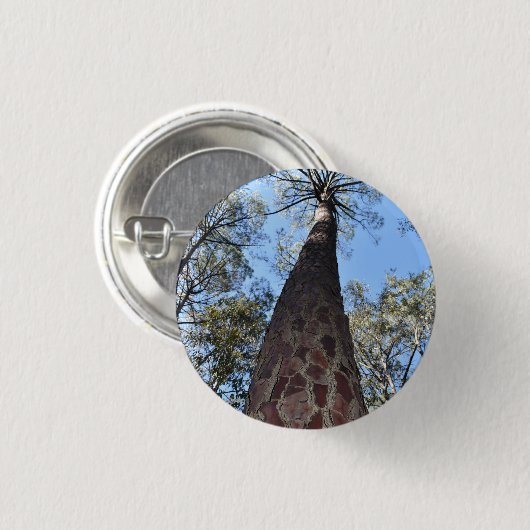 La Gerche Ponderosa Pine Abzeichen Button (Vorne & Hinten)