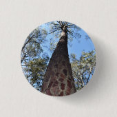 La Gerche Ponderosa Pine Abzeichen Button (Vorderseite)