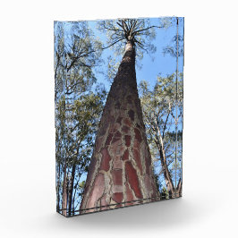 La Gerche Ponderosa Pine Acrylblock Fotoblock