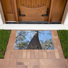 La Gerche Ponderosa Pine Doormat Fußmatte