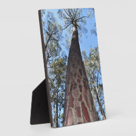 La Gerche Ponderosa Pine Foto Plaque Fotoplatte