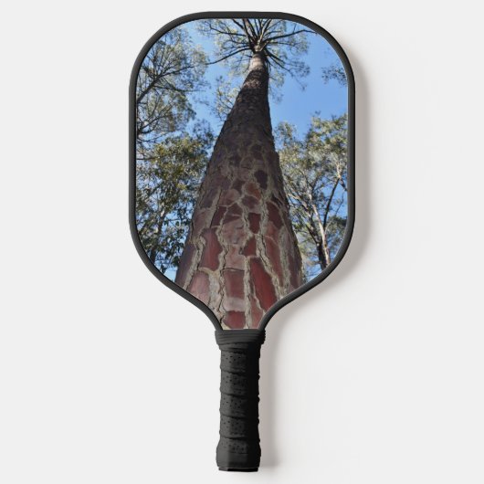 La Gerche Ponderosa Pine Pickleball Paddle (Rückseite)