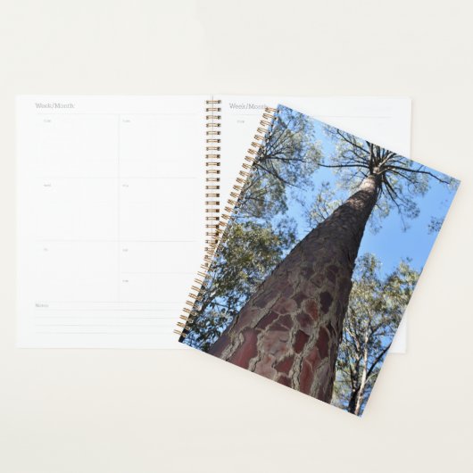 La Gerche Ponderosa Pine Planner Planer (Anzeige)