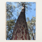 La Gerche Ponderosa Pine Planner Planer (Vorderseite)