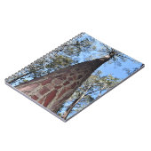 La Gerche Ponderosa Pine Spirale Notebook Notizblock (Linke Seite)