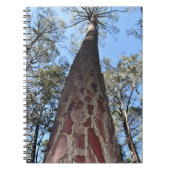 La Gerche Ponderosa Pine Spirale Notebook Notizblock (Vorderseite)