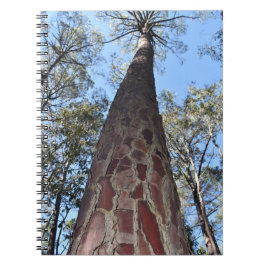 La Gerche Ponderosa Pine Spirale Notebook Notizblock