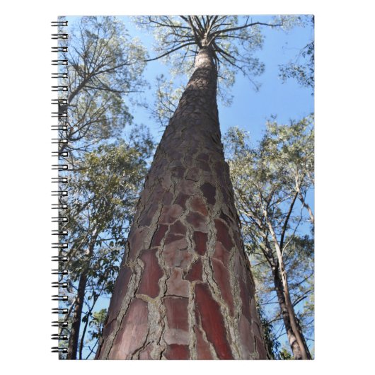 La Gerche Ponderosa Pine Spirale Notebook Notizblock (Vorderseite)