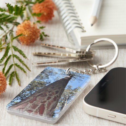 La Gerche Ponderosa Schlüsselring (Vorderseite rechts)