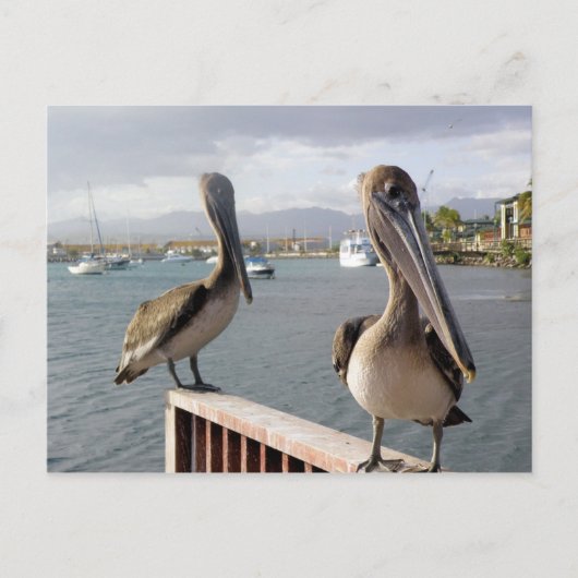 La Guancha en Ponce Postkarte (Vorderseite)