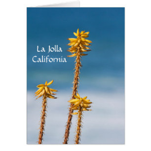 La Jolla Agave and Ocean