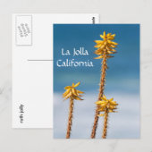 La Jolla Agave and Ocean Postkarte (Vorne/Hinten)