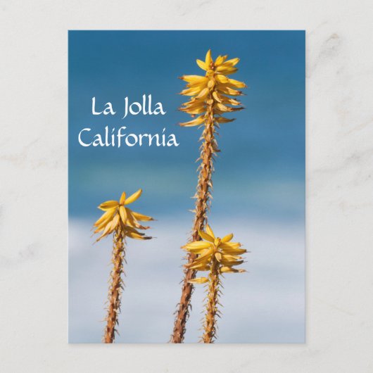 La Jolla Agave and Ocean Postkarte (Vorderseite)