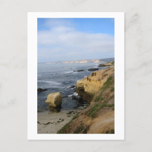 La Jolla Beach Seabirds Custom California Postcard Postkarte