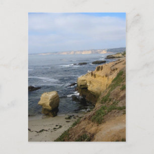 La Jolla Beach Seabirds Custom California Postcard Postkarte