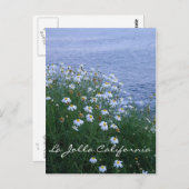 La Jolla Blume und Ozean Postkarte (Vorne/Hinten)