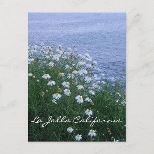 La Jolla Blume und Ozean Postkarte