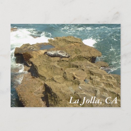La Jolla, CA Postkarte (Vorderseite)