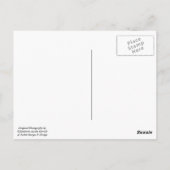 La Jolla, California Beach Sunset Postcard Postkarte (Rückseite)