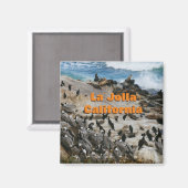 La Jolla California Souvenir Magnet (Vorderseite/Rückseite)