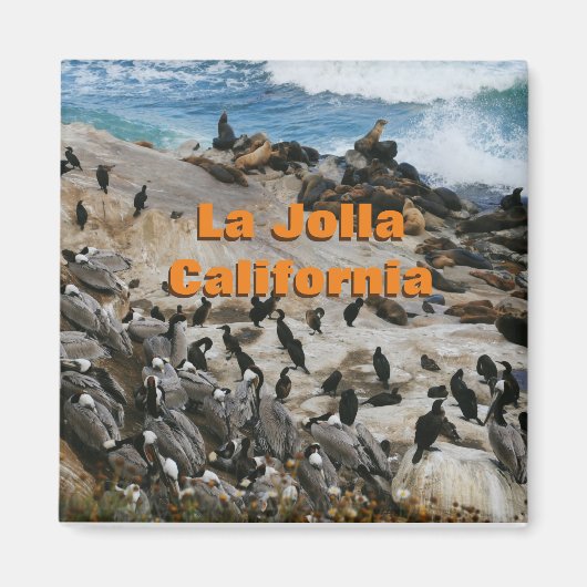 La Jolla California Souvenir Magnet (Vorne)